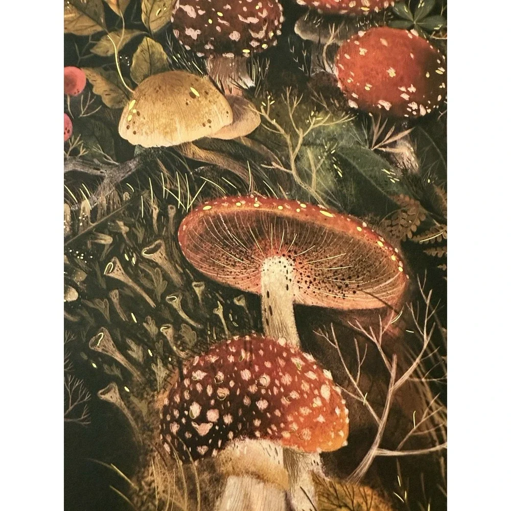 New Journal Notebook Forest Mushrooms By Bruno Visconti Matching Pen 8.5